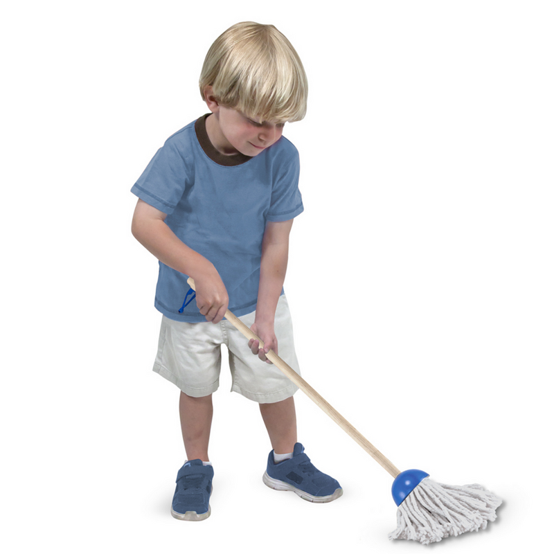 Dust Sweep Mop