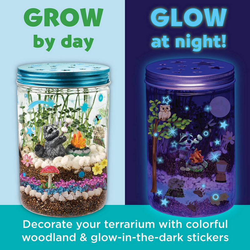 Grow n Glow Terrarium