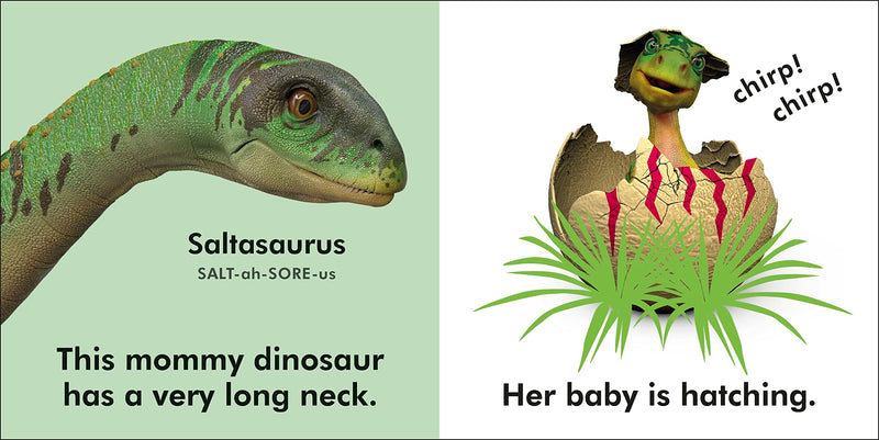 Baby Touch and Feel Baby Dinosaur